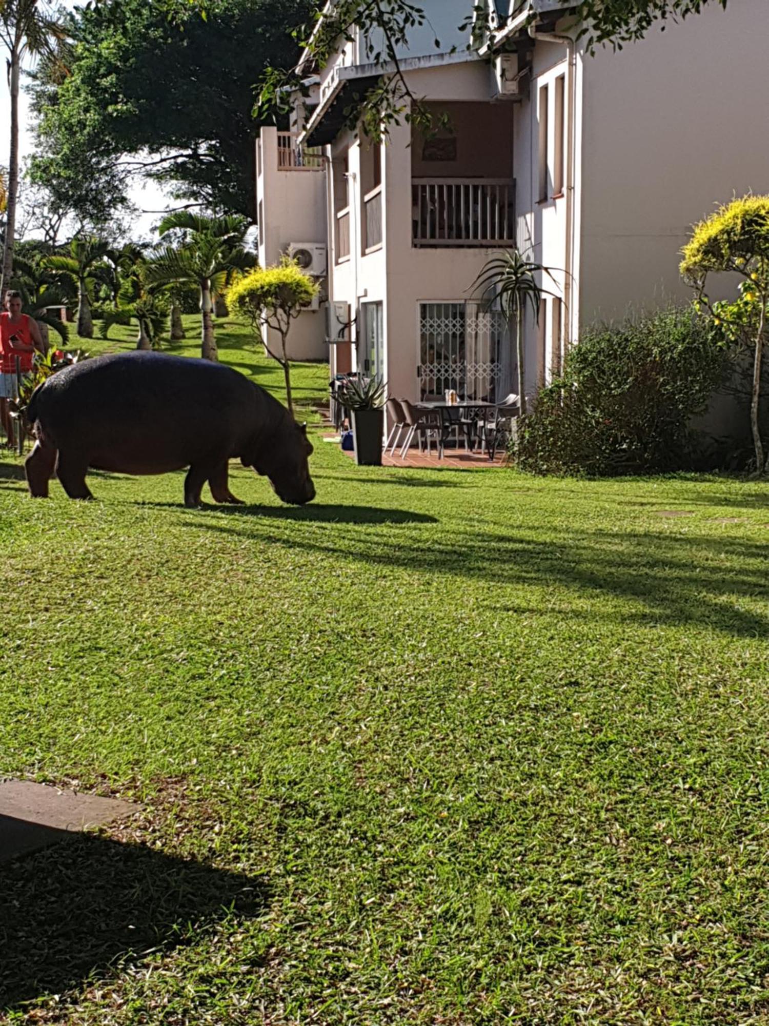 Saint Lucia EstuaryUnit 30 The Bridge - Family Unit In A Prime Spot On The Ground Floorアパートメント エクステリア 写真