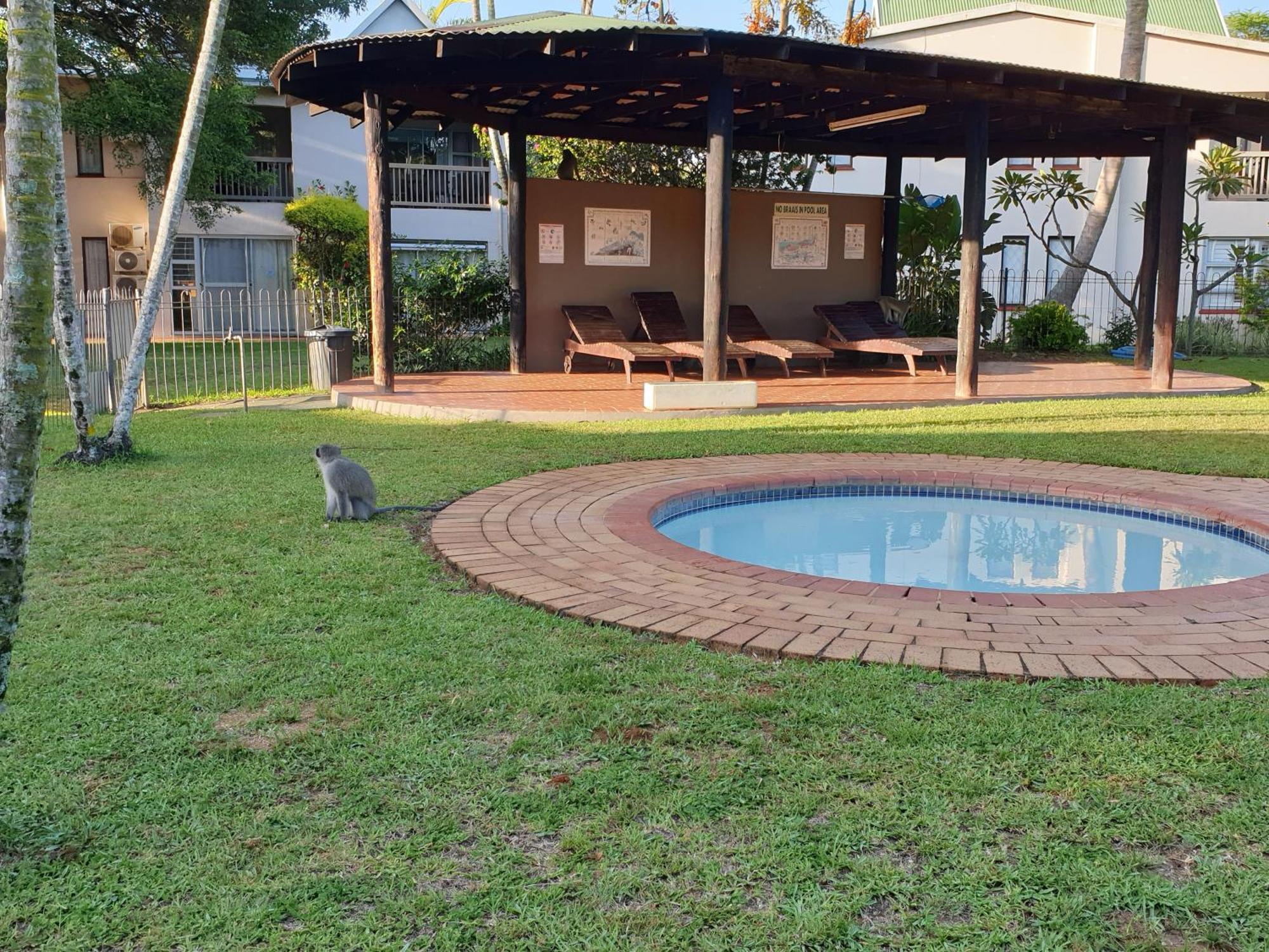 Saint Lucia EstuaryUnit 30 The Bridge - Family Unit In A Prime Spot On The Ground Floorアパートメント エクステリア 写真